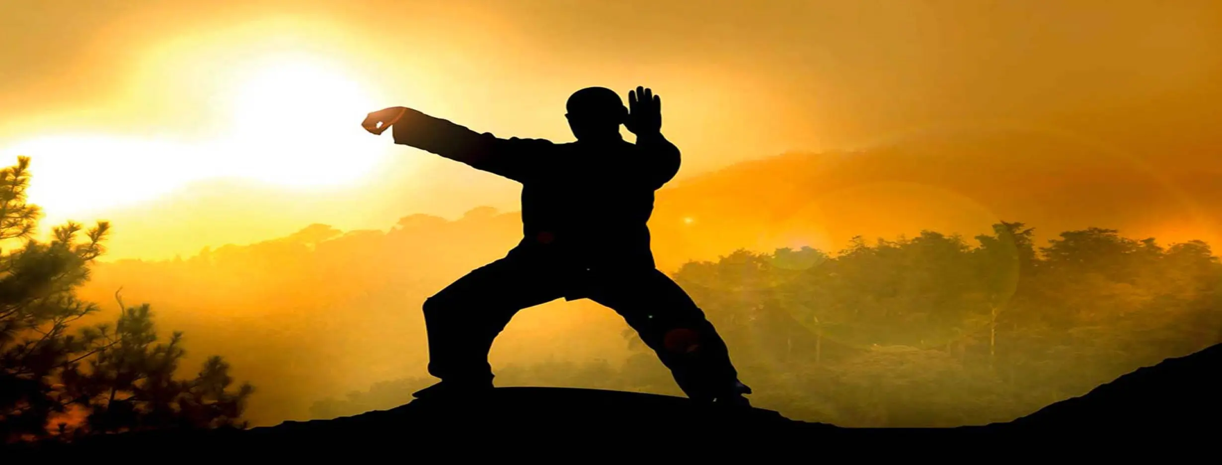 Image for Tai Chi Practice